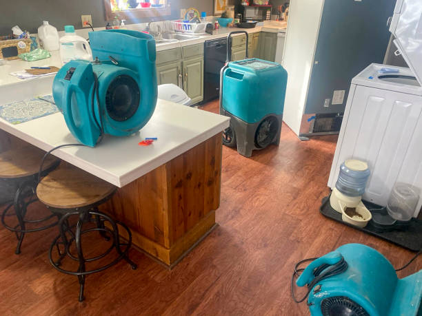 Best Flood damage cleanup  in Youngtown, AZ