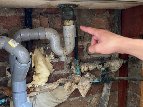 Best Carpet water damage restoration  in Youngtown, AZ